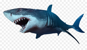 Shark Jaws Clip art - sharks 