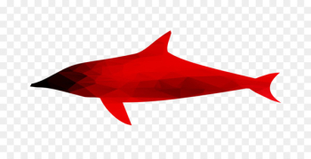 Shark Marine biology Dolphin RED.M -  