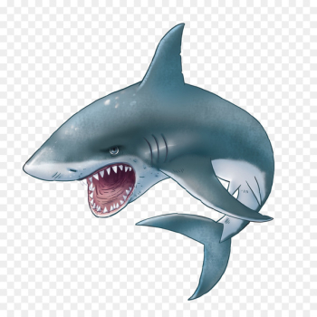 Shark Sticker Clip art - sharks 