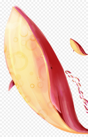 Shark Whale Red Download - whale Shark Whale Red Download - whale