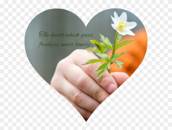 She Suggests So Many Fabulous And Doable Service Programs - Grateful Words