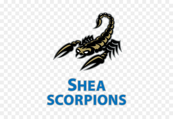 Shea Middle School National Secondary School Egyptian Basra - school 