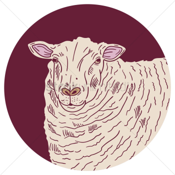 Sheep Sheep