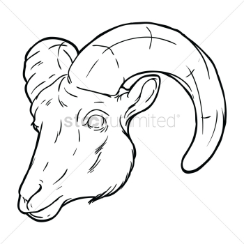 Sheep face Sheep face