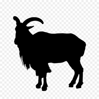 Sheep Goat Cattle Clip art Fauna - Sheep Goat Cattle Clip art Fauna -