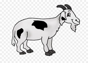 Sheep, Goat, Cattle, Vertebrate, Goats PNG