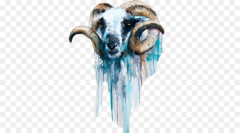 Sheep Goat Watercolor painting Art - Old goat watercolor picture material 