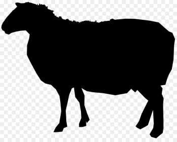 Sheep, Royaltyfree, Stock Photography, Vertebrate, Mammal PNG