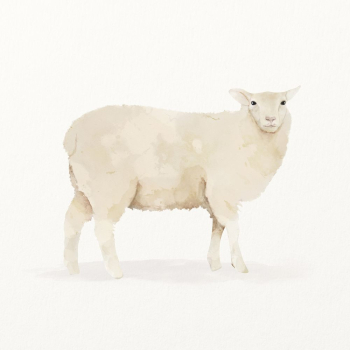 Sheep watercolor illustration, cute animal | Free Photo Illustration - rawpixel Sheep watercolor illustration, cute animal | Free Photo Illustration - rawpixel