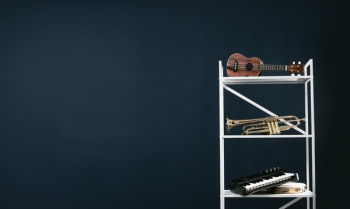 Shelving With Musical Instruments Shelving With Musical Instruments