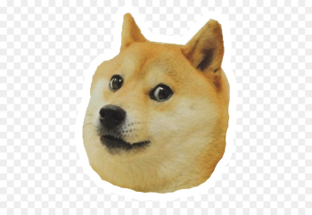 Shiba Inu Dogecoin Animal Puppy - Doge png download - 596*607 ...