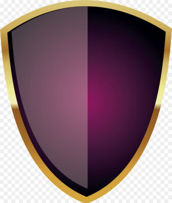 Shield Icon - Warrior shield Shield Icon - Warrior shield