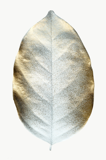 Shiny gold leaf transparent png | Free transparent png - 2227663 Shiny gold leaf transparent png | Free transparent png - 2227663