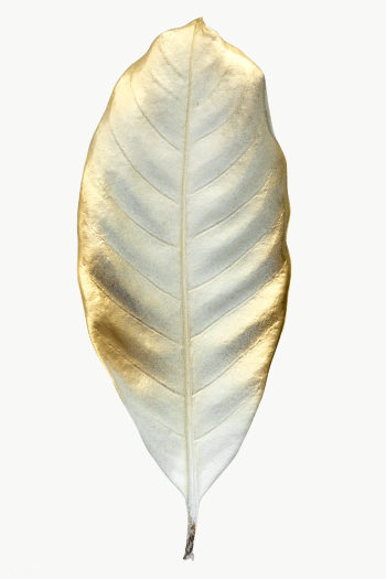 Shiny gold leaf transparent png | Free transparent png - 2228258 Shiny gold leaf transparent png | Free transparent png - 2228258
