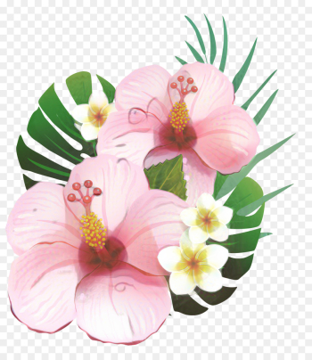 Shoeblackplant, Cartoon, Common Hibiscus, Pink, Petal PNG Shoeblackplant, Cartoon, Common Hibiscus, Pink, Petal PNG