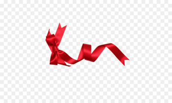 Shoelace knot Bow tie - Bow belt Shoelace knot Bow tie - Bow belt