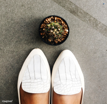 Shoes aerial botanic | Free stock photo - 71193 Shoes aerial botanic | Free stock photo - 71193