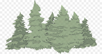 shortleaf black spruce colorado spruce white pine tree oregon pine shortleaf black spruce colorado spruce white pine tree oregon pine