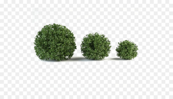 Shrub Box 3D modeling Mountain pine Tree - Green grass Shrub Box 3D modeling Mountain pine Tree - Green grass
