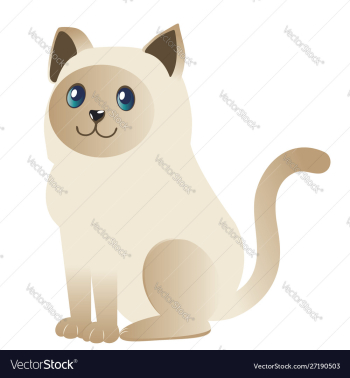 Siamese cat design vector image Siamese cat design vector image