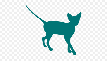 Siamese cat Dog Felidae Kitten Image - dog Siamese cat Dog Felidae Kitten Image - dog