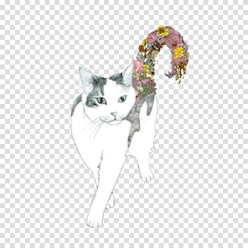 Siamese cat Kitten T-shirt Chipmunk Illustration, White cat transparent background PNG clipart