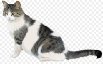 Siamese Cat, Persian Cat, American Shorthair, Cat, Mammal PNG