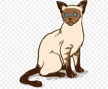 Siamese cat Ragdoll Bengal cat British Shorthair Russian Blue - Siamese cat pattern 