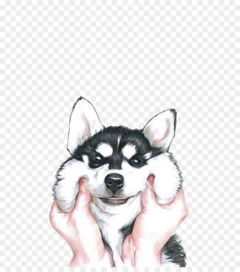 Siberian Husky iPhone X Wallpaper - Huskies 