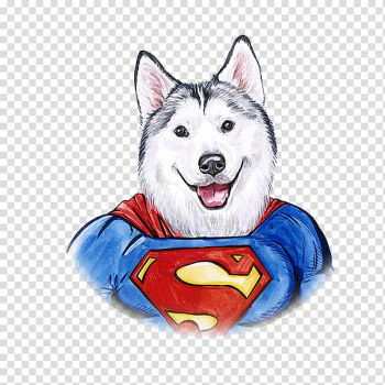 Siberian Husky Sakhalin Husky Clark Kent Watercolor painting Illustration, Hand painted Watercolor Dog Superman transparent background PNG clipart