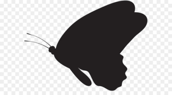 Silhouette Drawing Butterfly - Butterfly Silhouette PNG Clip Art Image 
