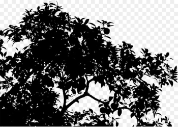 Silhouette Leaf Sky - Silhouette Leaf Sky -