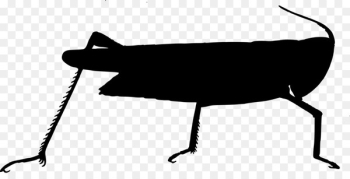 Silhouette, Line, Black M, Tail, Blackandwhite PNG Silhouette, Line, Black M, Tail, Blackandwhite PNG