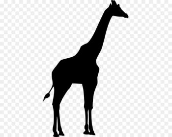 Silhouette Northern giraffe Clip art - Silhouette Silhouette Northern giraffe Clip art - Silhouette