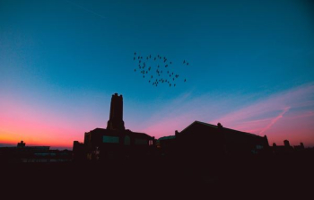 silhouette of building under blue sky during golden hour silhouette of building under blue sky during golden hour