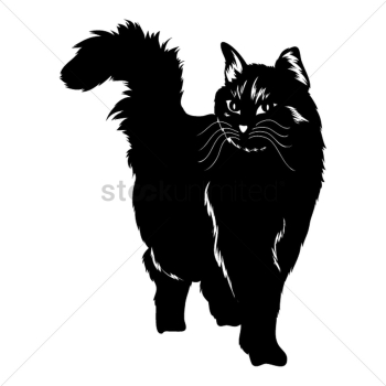 Silhouette of cat Silhouette of cat