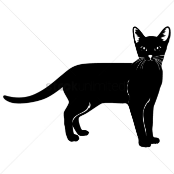 Silhouette of cat Silhouette of cat