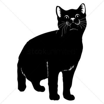 Silhouette of cat Silhouette of cat