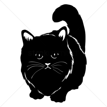 Silhouette of cat Silhouette of cat