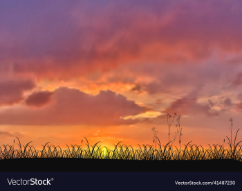 silhouette of grass during sunset silhouette of grass during sunset
