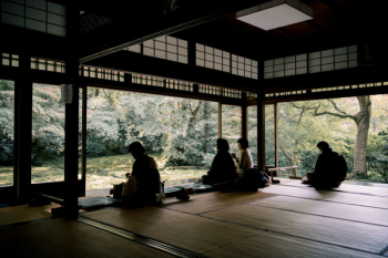 Silhouette of People on Room