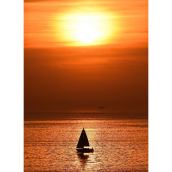Silhouette of Sailboat on Body of Water Silhouette of Sailboat on Body of Water