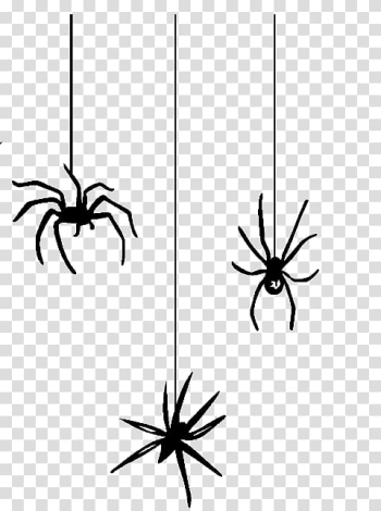 Silhouette of three spiders , Spider web Halloween Spider-Man , spider transparent background PNG clipart