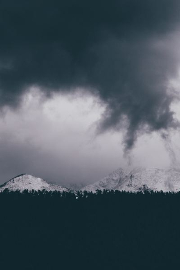 silhouette of trees near snow capped mountains silhouette of trees near snow capped mountains