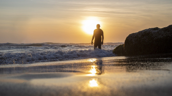 Silhouette Photo of Man at Beach at Golden Hour