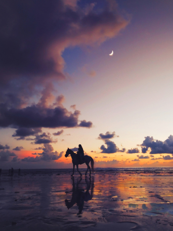 Silhouette Photo Of Person Riding On Horse Silhouette Photo Of Person Riding On Horse