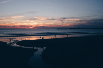 Silhouette Photo of Sea during Golden Hour