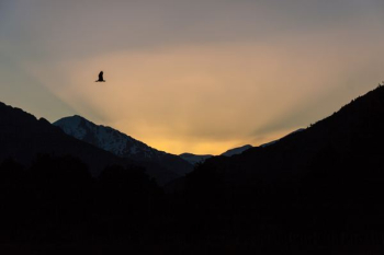 silhouette photography of mountain silhouette photography of mountain