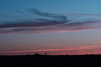 Silhouette Photography of Trees and Clouds