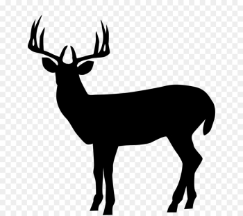 Silhouette, Roe Deer, Elk, Reindeer, Mammal PNG Silhouette, Roe Deer, Elk, Reindeer, Mammal PNG